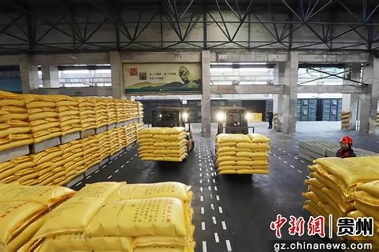 槟榔施什么肥最好