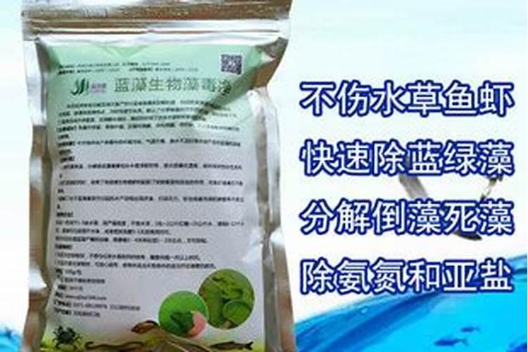 不同底肥和追肥比例处理对小麦品质有哪些影响？