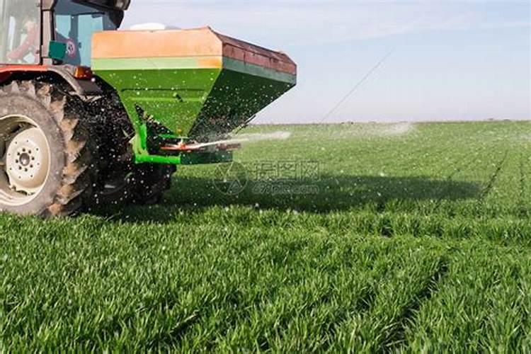 种小麦用什么肥料做底肥最好