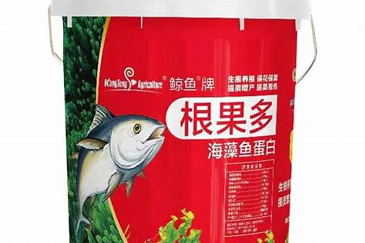 四季杜鹃茶花施什么肥料 如何养护四季杜鹃茶花