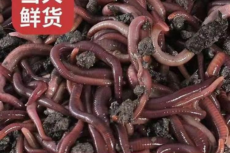 氮磷钾复合肥是什么样的