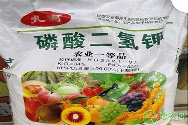 小麦飞防怎么样用磷酸二氢钾