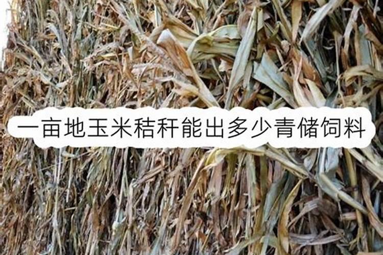 一亩地玉米究竟要施多少化肥