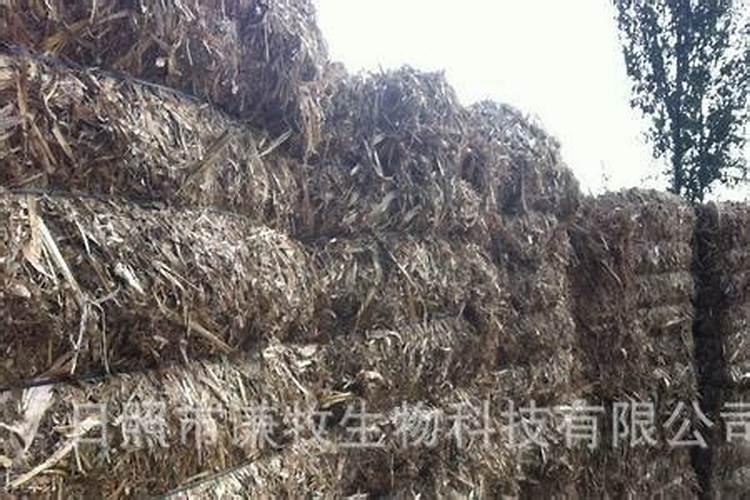 一亩地生产一千公斤玉米需要的氮磷钾各是多少？