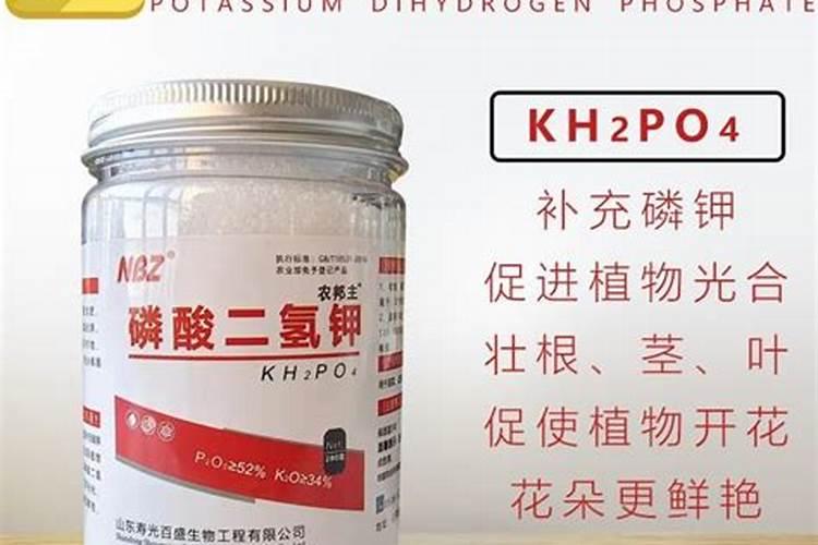 月季适合什么肥料