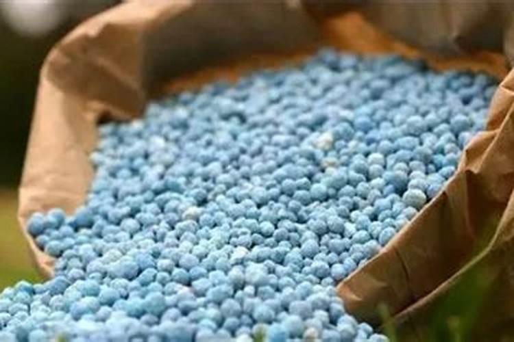 葵花苗期喷施什么叶面肥好