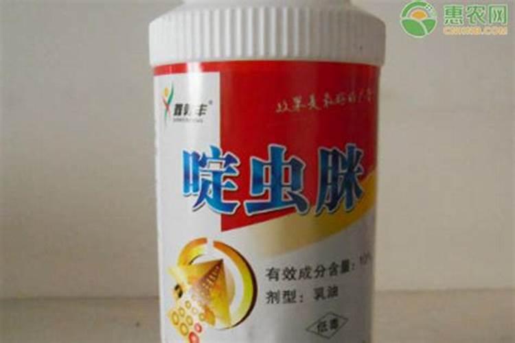 为什么海南岛的蔬菜旺季在冬季