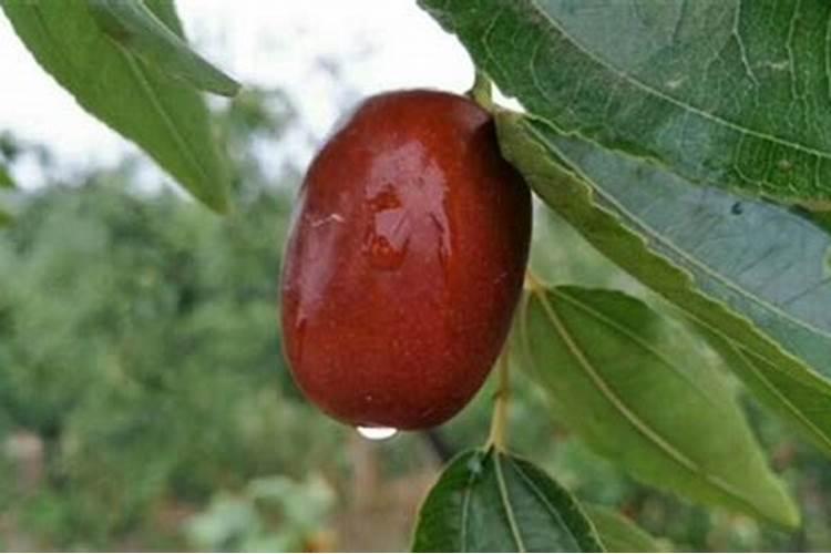 1987年化肥票值钱吗