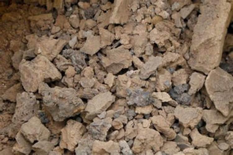 芒果施什么肥料有利于生长？芒果怎么施肥