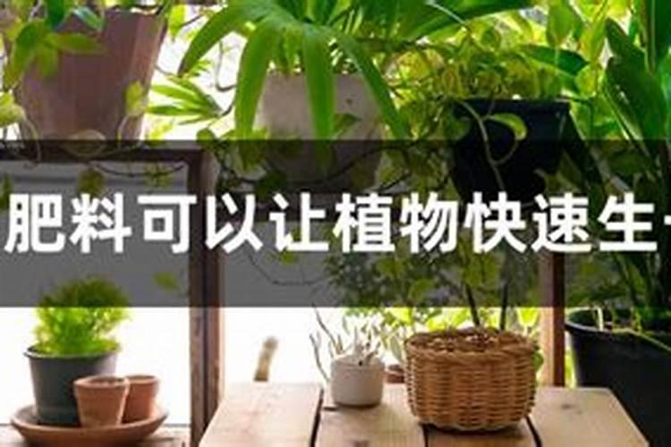 给花施什么肥