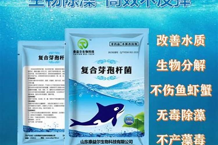 鱼塘如何调节水质,调节鱼塘水质用什么药,水质调节剂