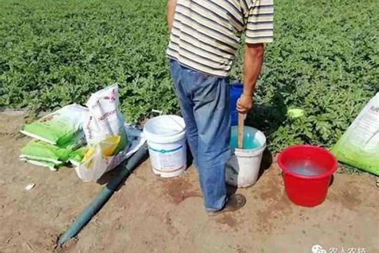 复合肥是什么肥料