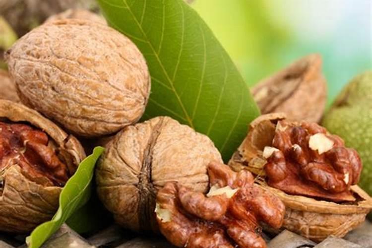 种白菜用什么肥料好