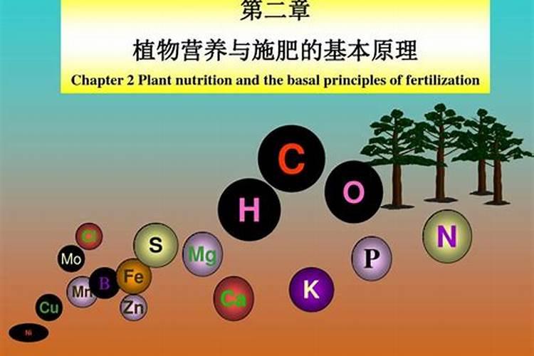 植物的根是吸收营养的,叶也能吸收营养吗