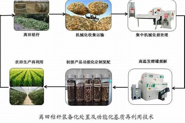 果树冲施肥如何正确使用