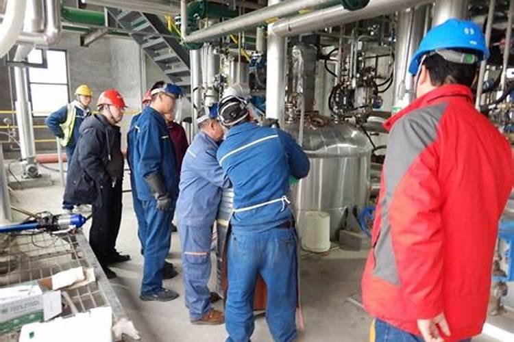 有种过桉树的吗？这种树经济效益怎么样？