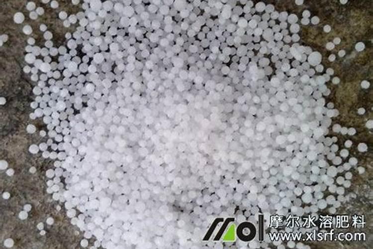 茶叶水可以浇虎尾兰吗