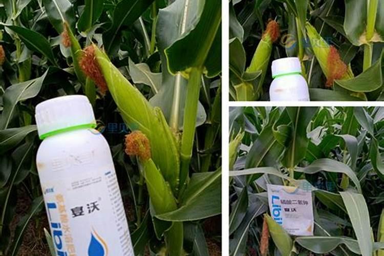 芝麻追肥用什么肥料好