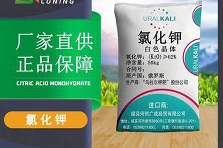 钾肥上市公司有哪些