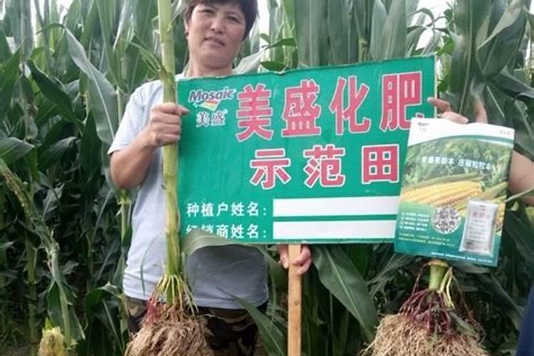 钾肥几天见效,正确的使用方法