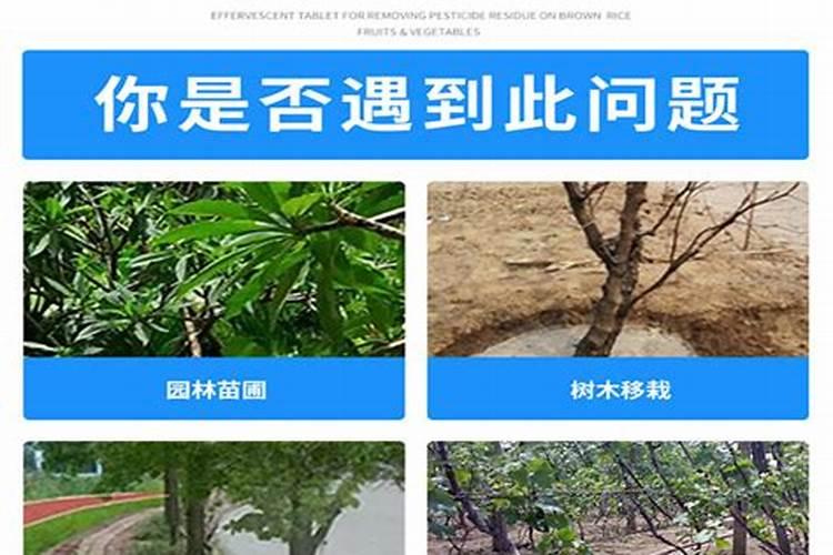 花用的氮肥有哪些