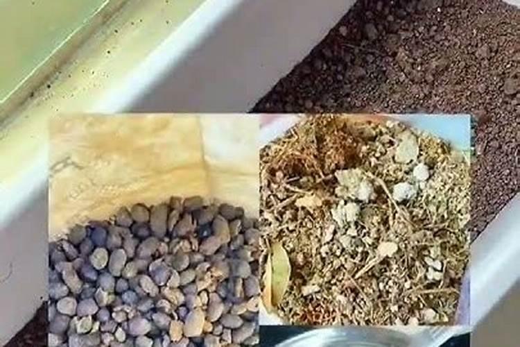 种菜用什么复合肥比较好 速效复合肥怎样给蔬菜施肥