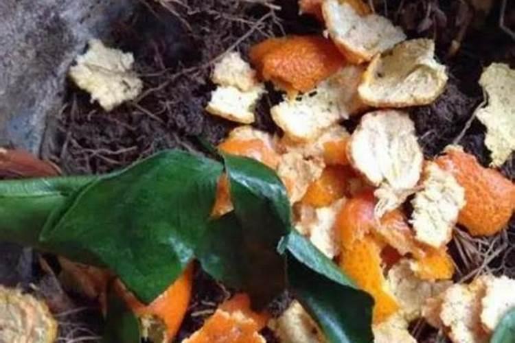 烂水果可以发酵做肥料吗