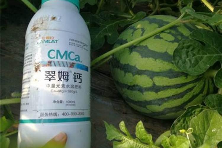 水稻抽穗结实期如何管理 水稻如何施肥