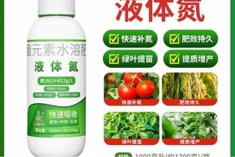自家种菜用什么肥料最好