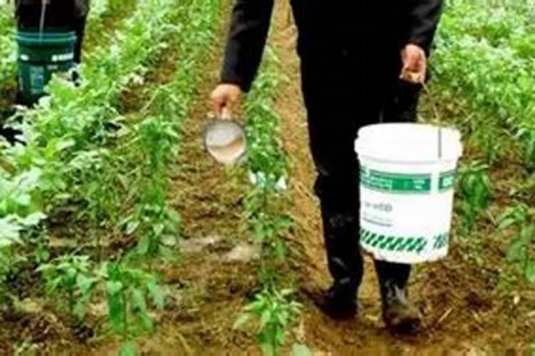 山东力沪生物科技有限公司海海藻水溶肥好吗？