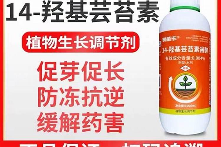 芸苔素对植物生长有什么作用？