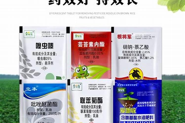 大蒜喷什么叶面肥好!防病毒用啥