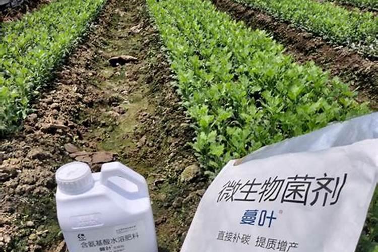 花多多是美国还是以色列