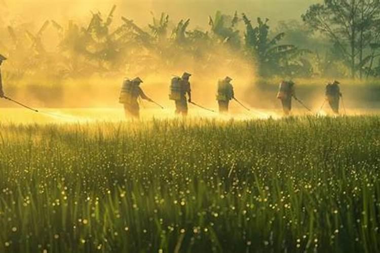 小树几天可以施一次肥？