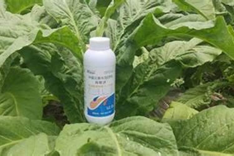 罗布泊百分之五十硫酸钾多少钱一吨