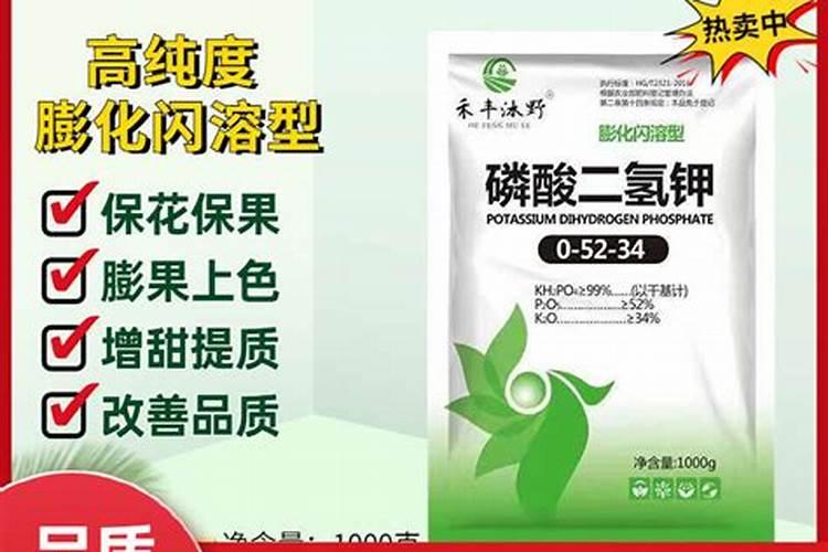 兰花怎么度过35度以上高温