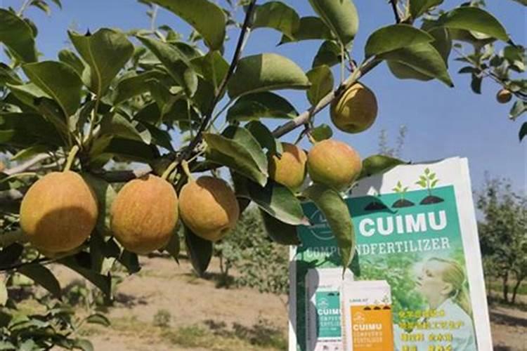 番茄各个时期施肥量详细表 快速膨大技术