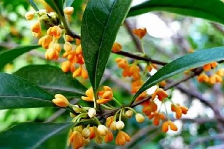 甘肃白银虎豹化工有限公司怎么样？