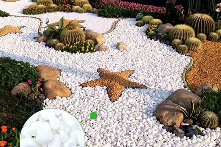 花肥白色颗粒是什么