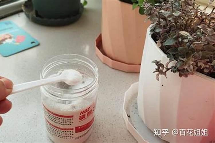 花肥白色颗粒是什么