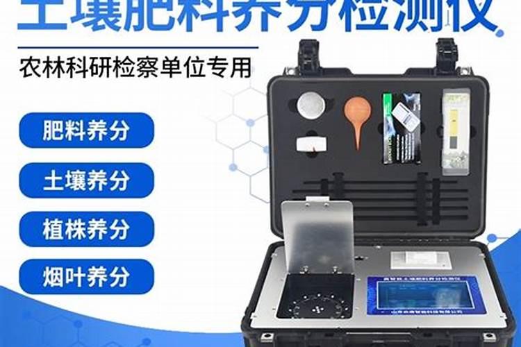 蓬菜松小苗价格多少钱一棵？蓬莱松的养殖方法有哪些？