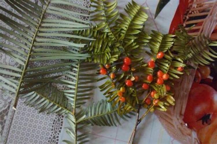 磷酸二氢钠与磷酸氢二钠有何联系？