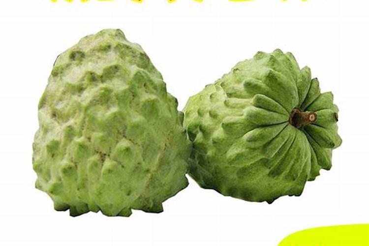 叶面喷施硼肥的最佳时间