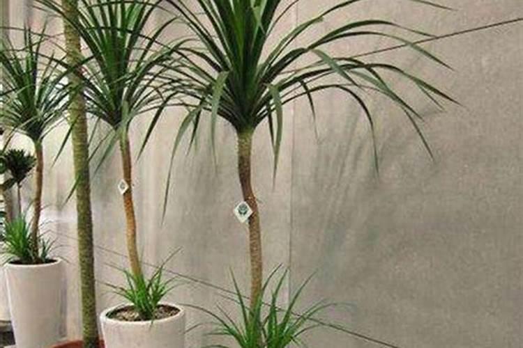 尿素价格“大范围”下跌,复合肥、磷肥、钾肥多少钱一吨了？