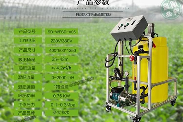 大棚种植辣椒能高产？科学用肥有讲究,用对了辣椒产量高效益好