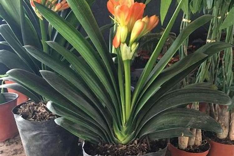 油漆喷枪的使用方法