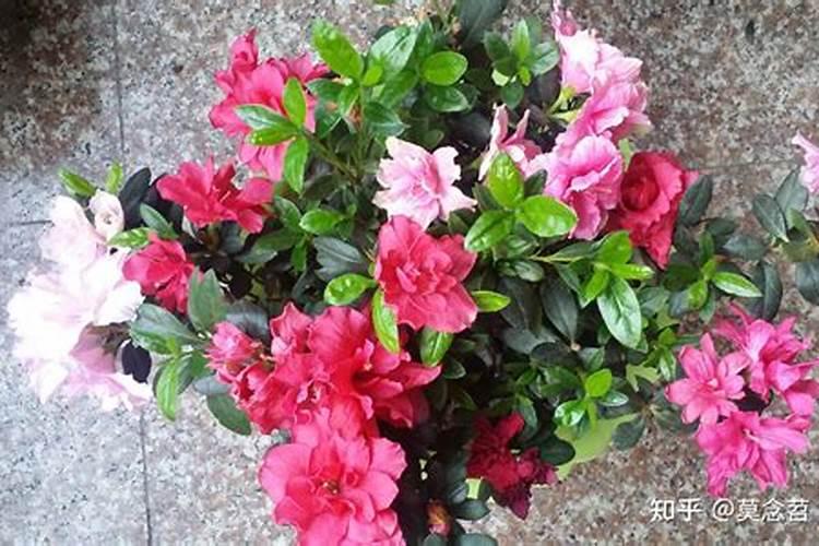 河南有哪些蔬菜批发市场