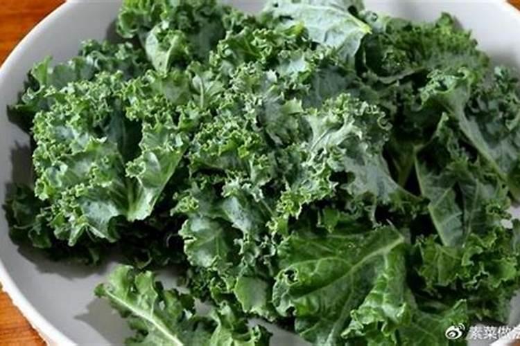 硝盐在卤菜的作用