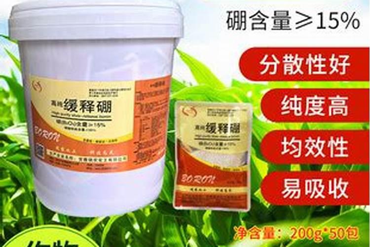 水稻白穗什么原因,水稻白穗怎么防治