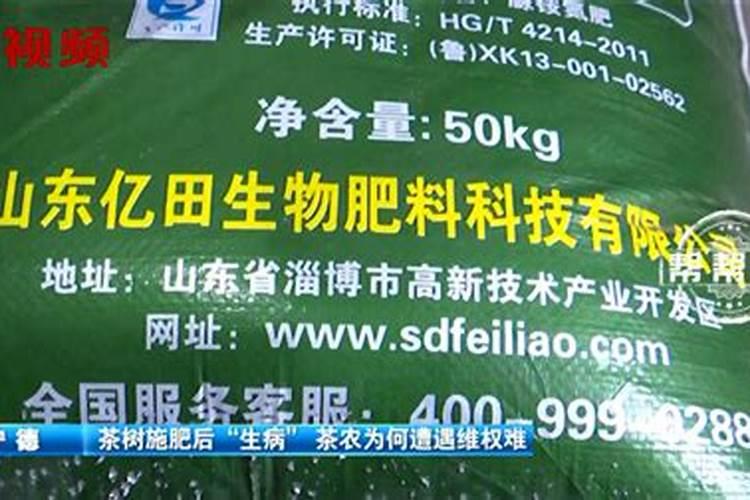 氮、磷、钾对茶树生长发育的作用